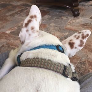 Meet your Posher, Terri